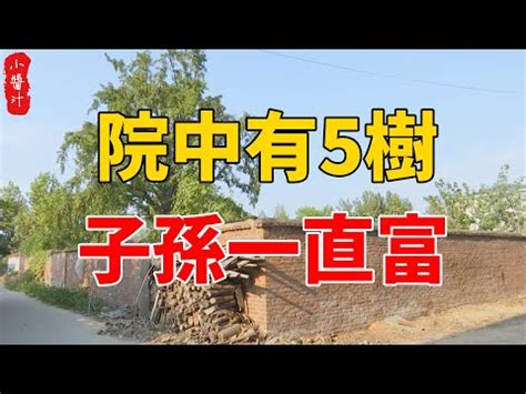 風水樹|風水大師：家中要種就種這些樹，能改善家中風水，帶。